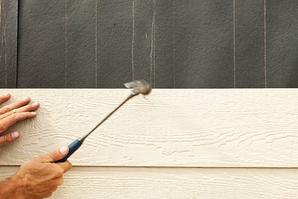 Best Siding Painting and Refinishing  in Wade, MS